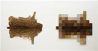 Nicholas Galanin: Interference Patterns - SITE Santa Fe