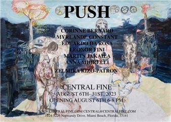 Push: Group Presentation - Central Fine