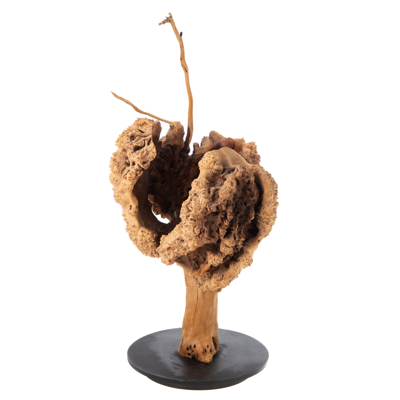 Artwork by Liz Lescault, Bittersweet Vessel, Made of earthenware