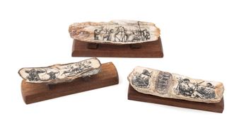 FOSSIL WALRUS SCRIMSHAW - Geoff Olson