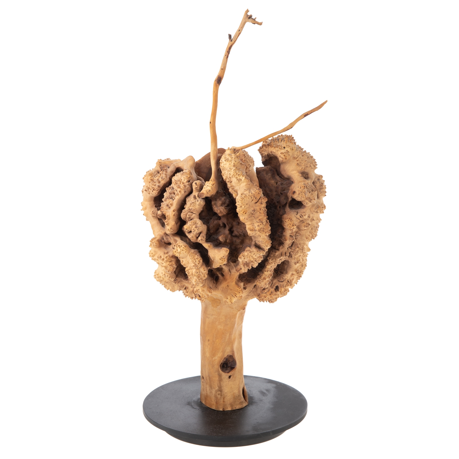 Artwork by Liz Lescault, Bittersweet Vessel, Made of earthenware