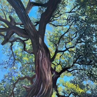 Late Summer Dreams - Davis Gallery