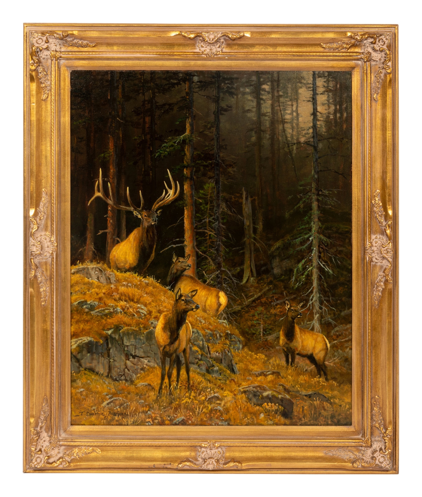 Terry Swanton Bateman | From the Bedgrounds | MutualArt