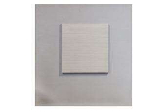 Untitled: Anatomy - Ben Ravenscroft