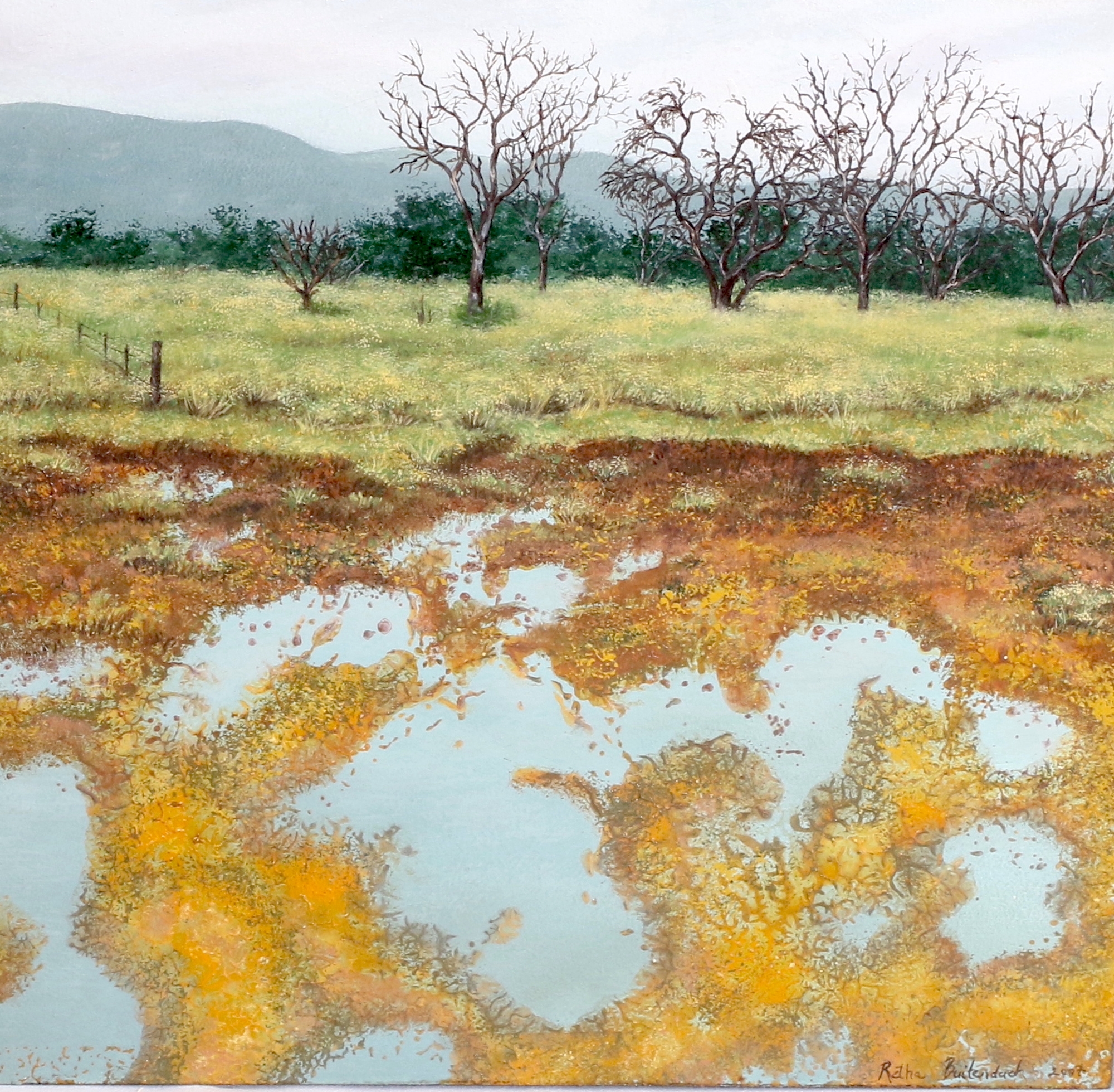 Retha Buitendach | SOUTH AFRICAN LANDSCAPES | MutualArt