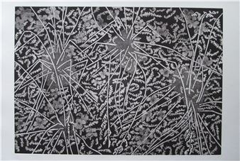 Inner/Outer Space - Art Gallery of Nova Scotia, Yarmouth