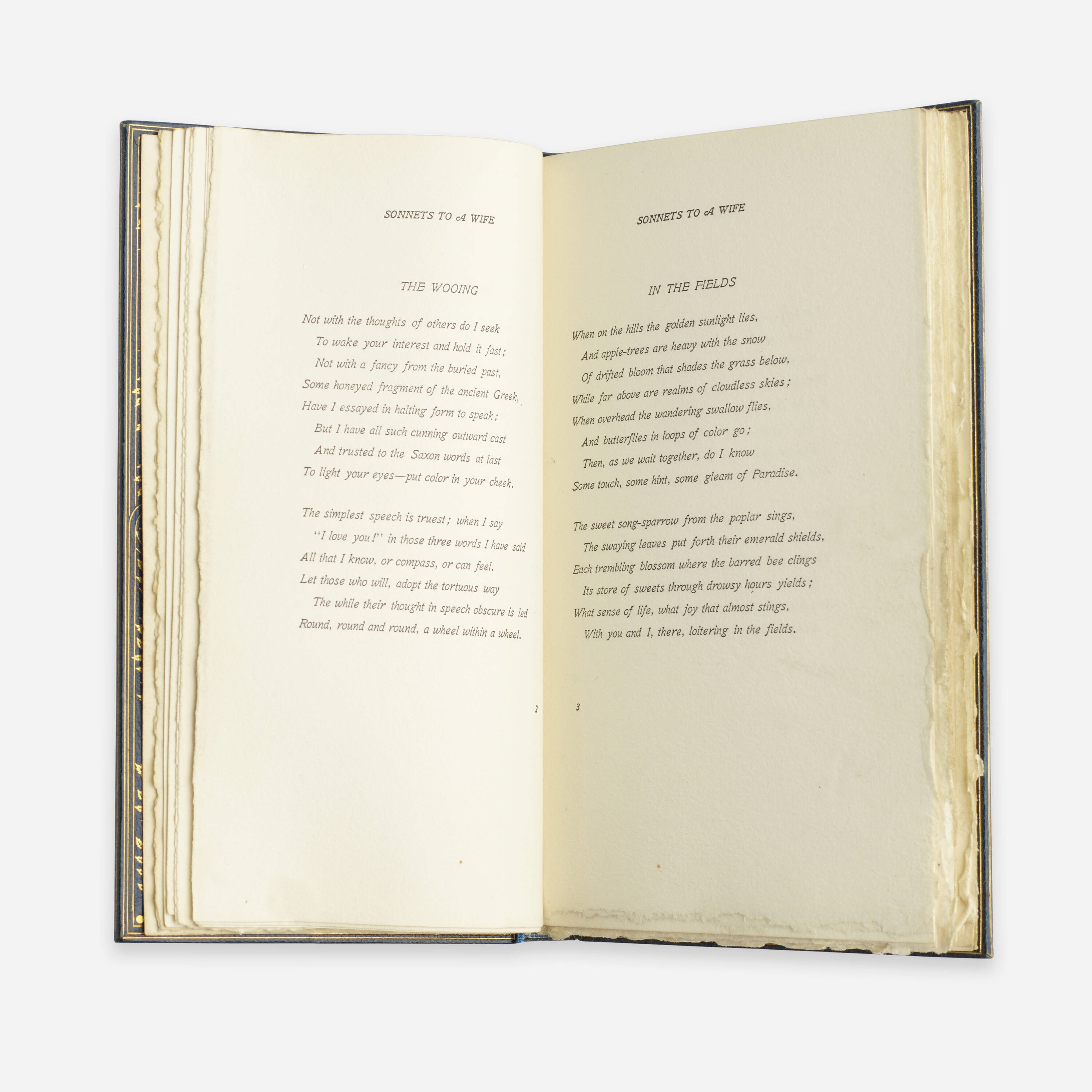 Artwork by Ernest Mcgaffey, Sonnets to a Wife, Made of full leather-bound book with gilding, paper