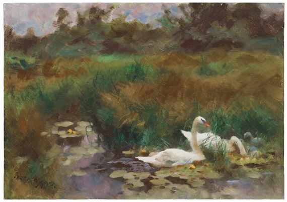 Swans among yellow water lilies by Bruno Liljefors