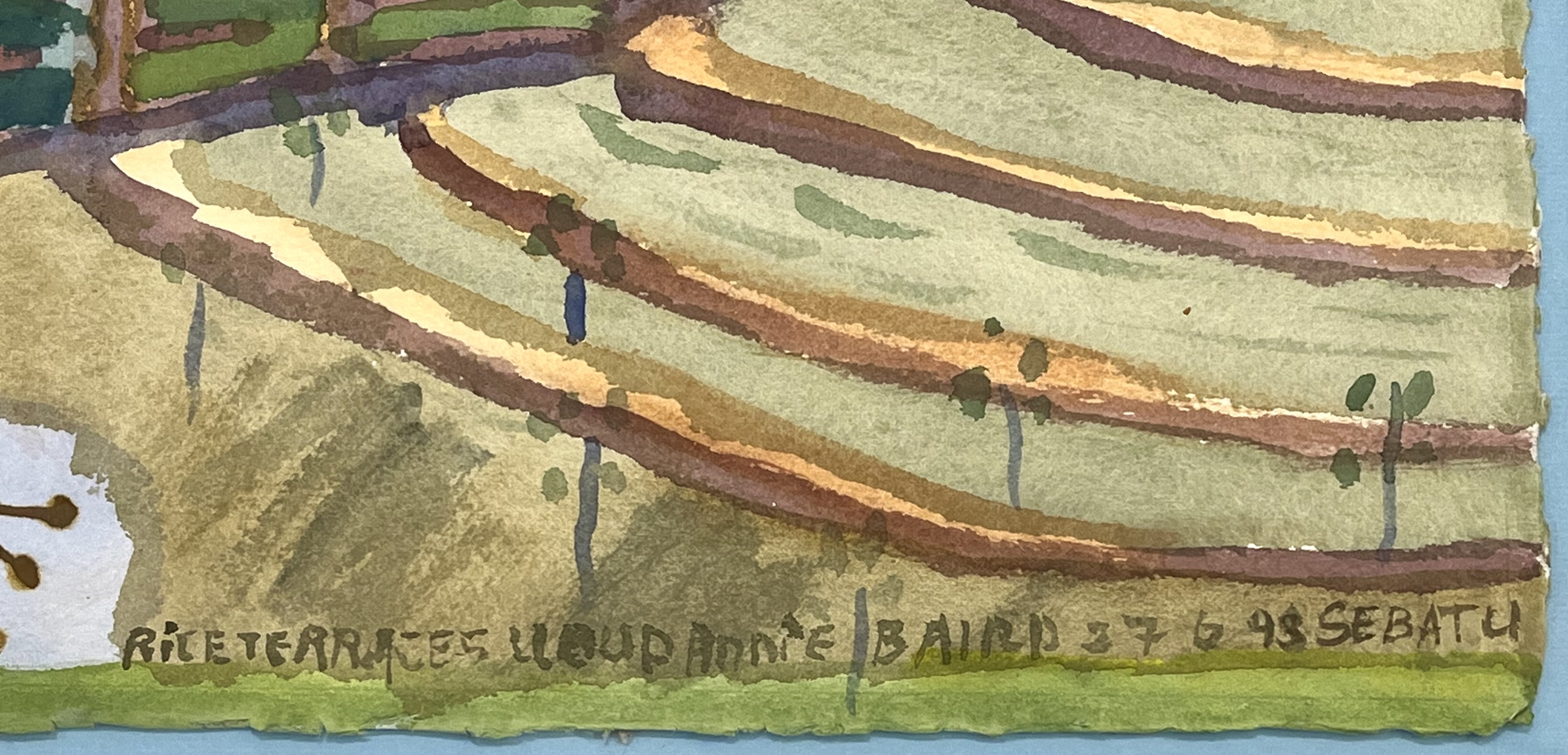 Annie Baird | Rice Terraces - Sebatu | MutualArt