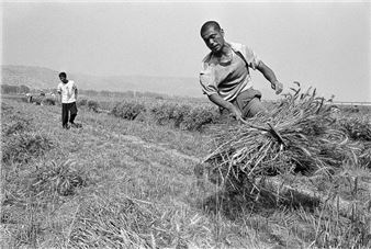 Times Gone in a Snap