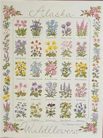 Alaska Wildflowers by Carol Dickerson