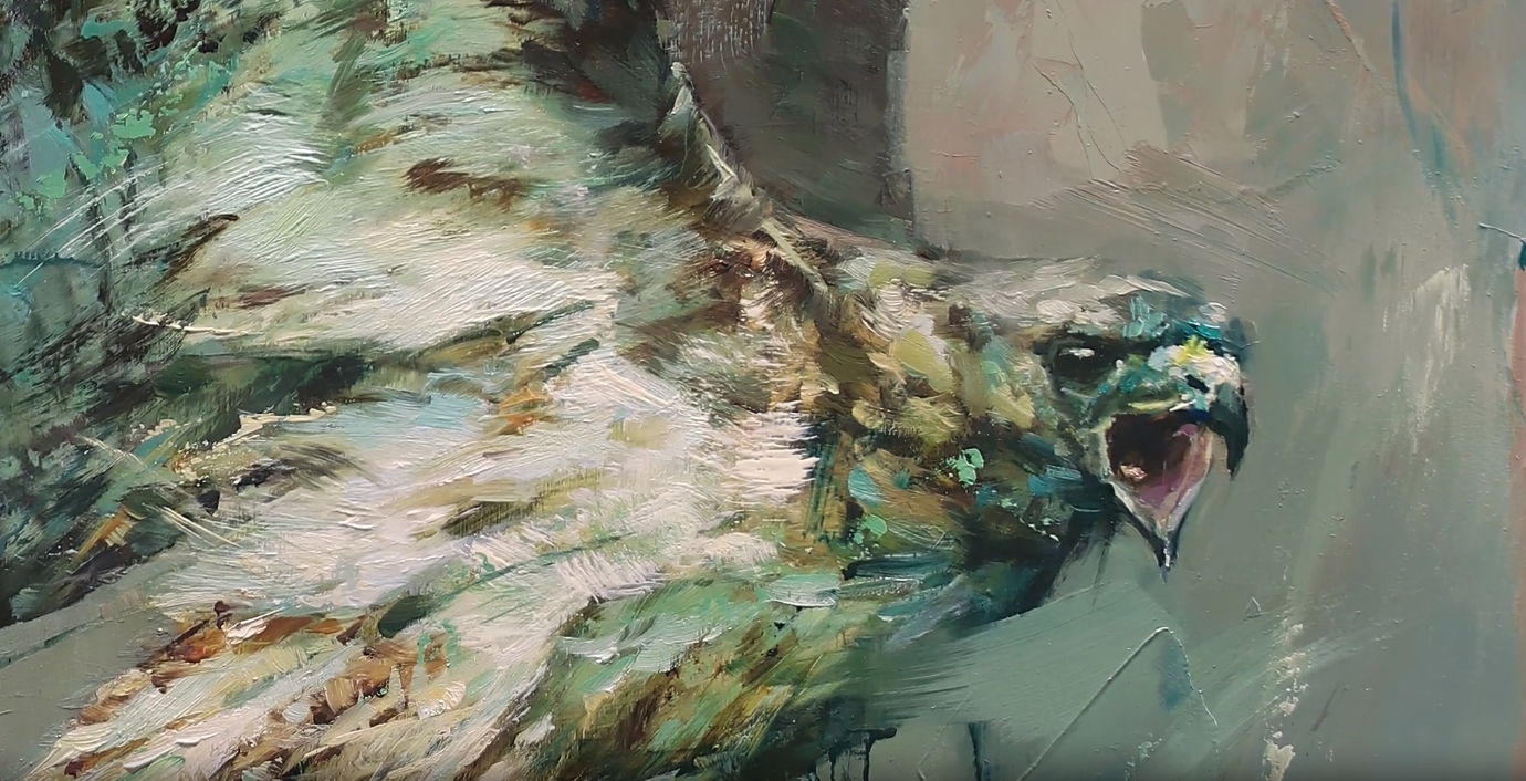 Animalia V at Abend Gallery