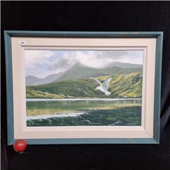 Scene of seagulls gliding over a still lake in the shadow of a misty mountain - Conor O'Malley