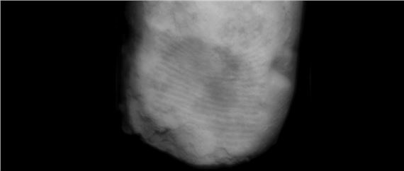 Sami Mandee: High Water - Bildraum 01