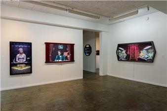Dirk Hardy: Vivarium  - Rutger Brandt Gallery