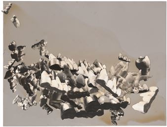 Inventing Objects. Jay DeFeo’s Photographic Work - Paula Cooper Gallery, New York (521 W 21st Str)