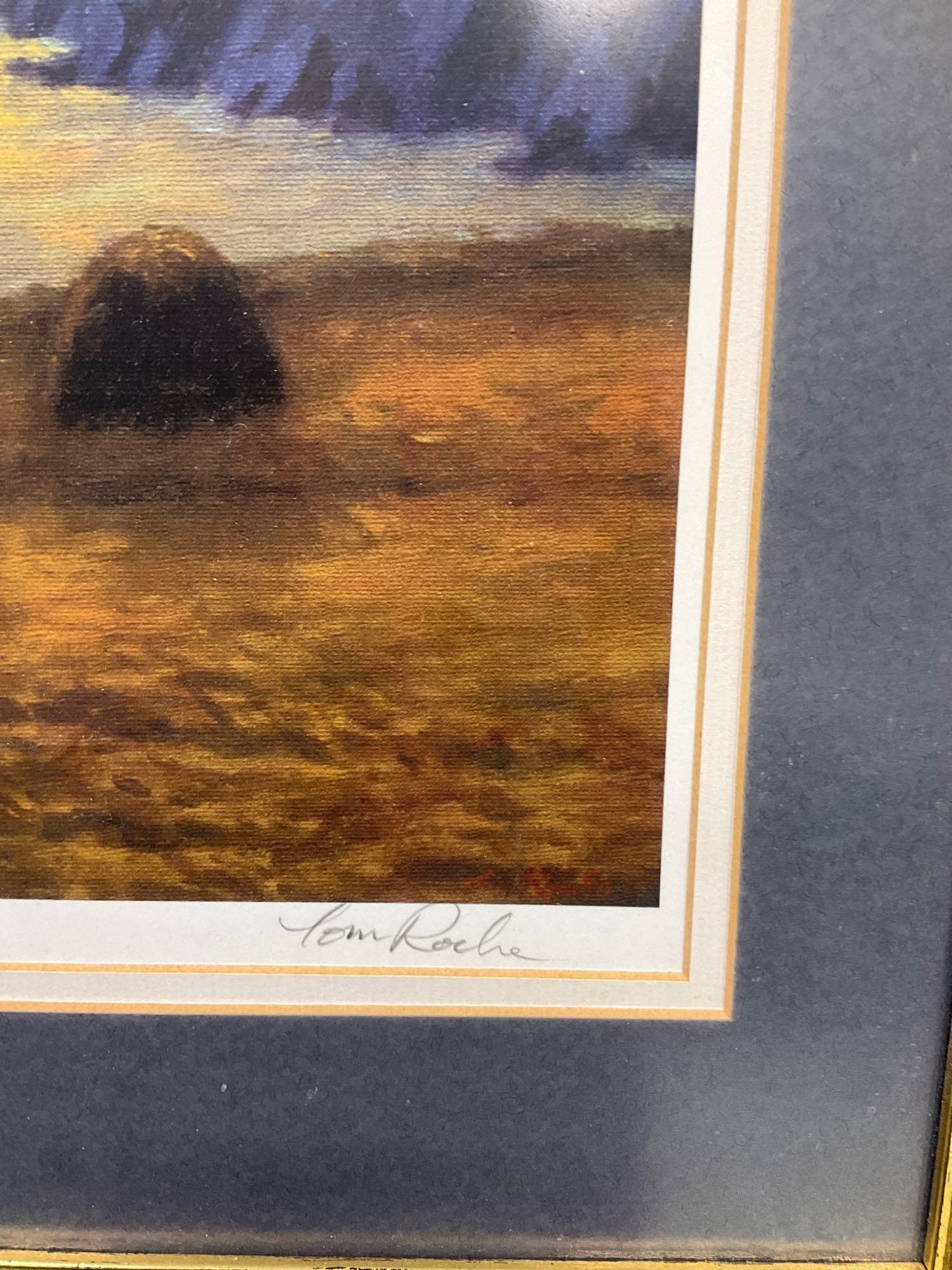 Tom Roche | Blasket Island | MutualArt