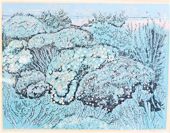 FLOWERS OF CAPE ST.FRANCIS - Mary-Rose Dold