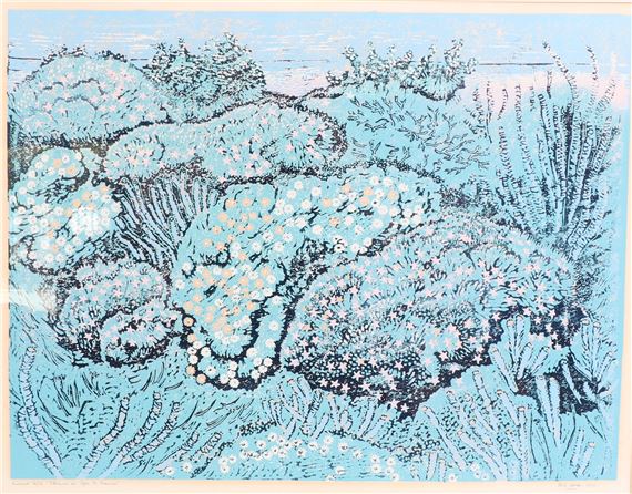 FLOWERS OF CAPE ST.FRANCIS - Mary-Rose Dold