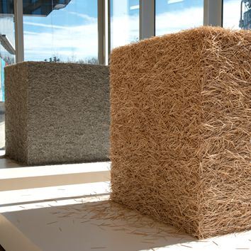 Tara Donovan: Untitled - Taubman Museum of Art