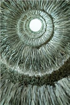 Wona Bae & Charlie Lawlor: Park Dream - Gippsland Art Gallery