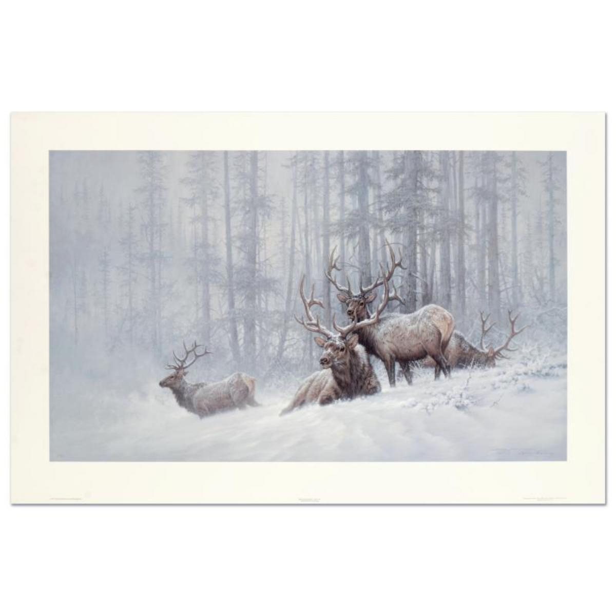 Larry Fanning | Mountain Majesty - Bull Elk | MutualArt