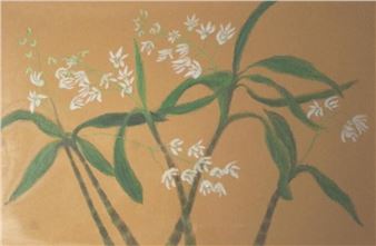 Dendrobiums (Native Orchids) - Ida Bruchhauser