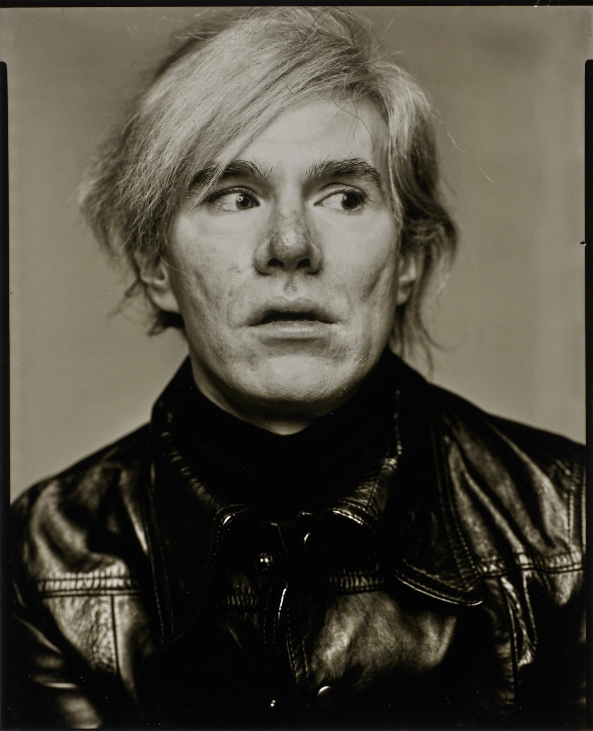 Richard Avedon | Andy Warhol | MutualArt