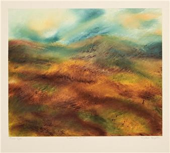 Turquoise Skies - Nickie Hayden