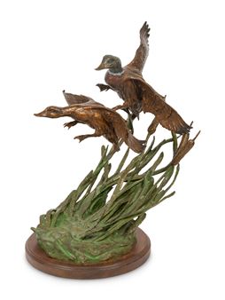 Rough Water Landing - Korry Bird