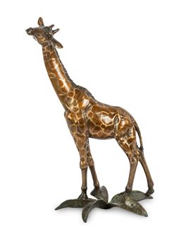 Treetopper - Pati Stajcar