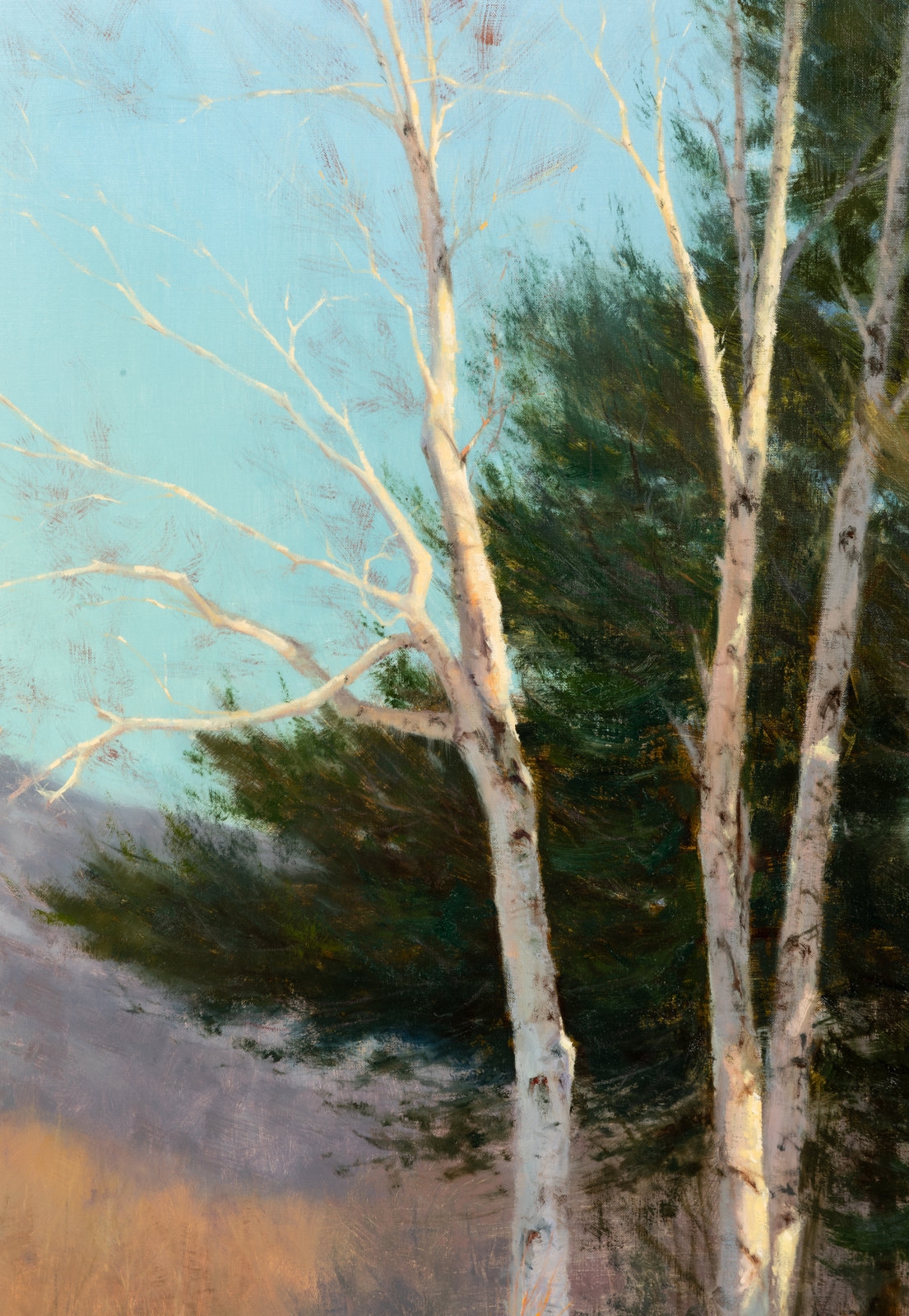 Timothy R. Thies | Winter Birches (2000) | MutualArt