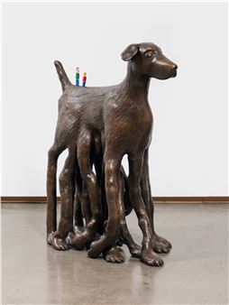 Daydreaming Pressed Against a Fence at Harkawik