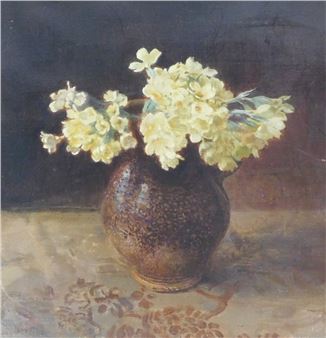 Primula - Frans David Derbery