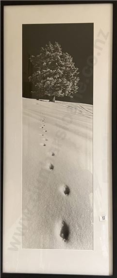 Footsteps in the Snow by Helmut Hirler