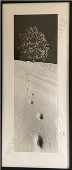 Footsteps in the Snow - Helmut Hirler