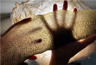 The Currents That Carry Us - Confederation Centre of the Arts