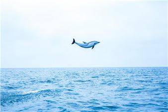 The Beauty of Our Planet in Photos: 15 Winners of Life Framer Photography Awards