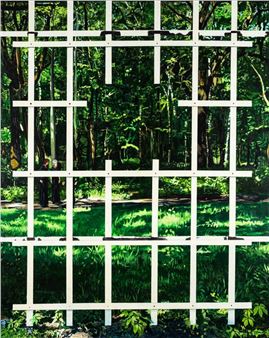 Untitled (bush telegraph) - Katarzyna Lembryk