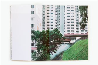 Through the Veil of Fumigation: Photographer Kathy Anne Lim on Memory and the Environment