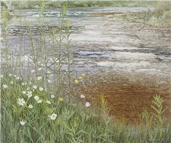 False Rue Anemone, Elora, Ontario - Thomas Kemp Kieffer