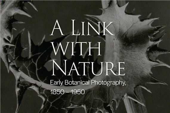 A Link With Nature: Early Botanical Photography, 1850 – 195 - Art Gallery of Alberta