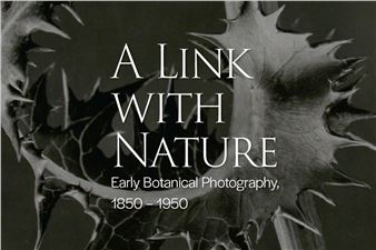 A Link With Nature: Early Botanical Photography, 1850 – 195 - Art Gallery of Alberta