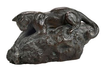 Catching the Frog - Richard Paine