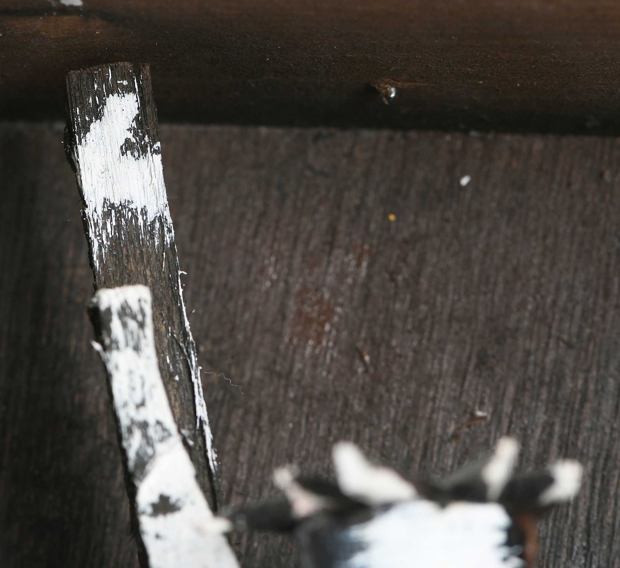 Artwork by Ab the Flagman, Liberty, Made of paint, wood