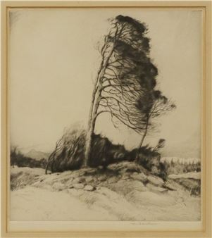 Windswept Pine Trees - John George Mathieson