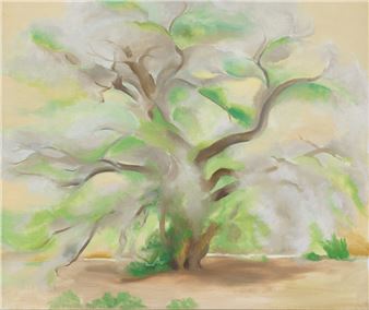 Georgia O’Keeffe: Rooted in Place - Georgia O'Keeffe Museum, Santa Fe