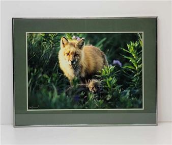 1st Place - Rod Pfleiger