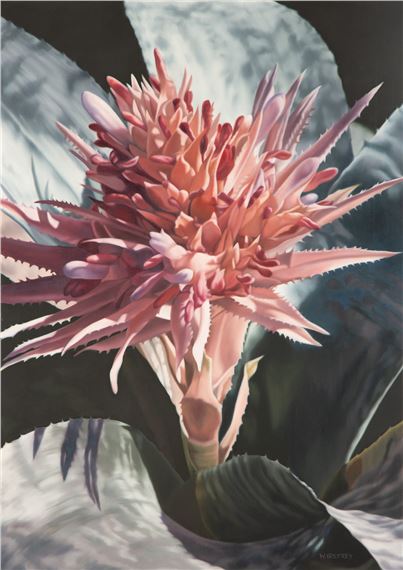 Aechmea by Winifred Godfrey, 1999