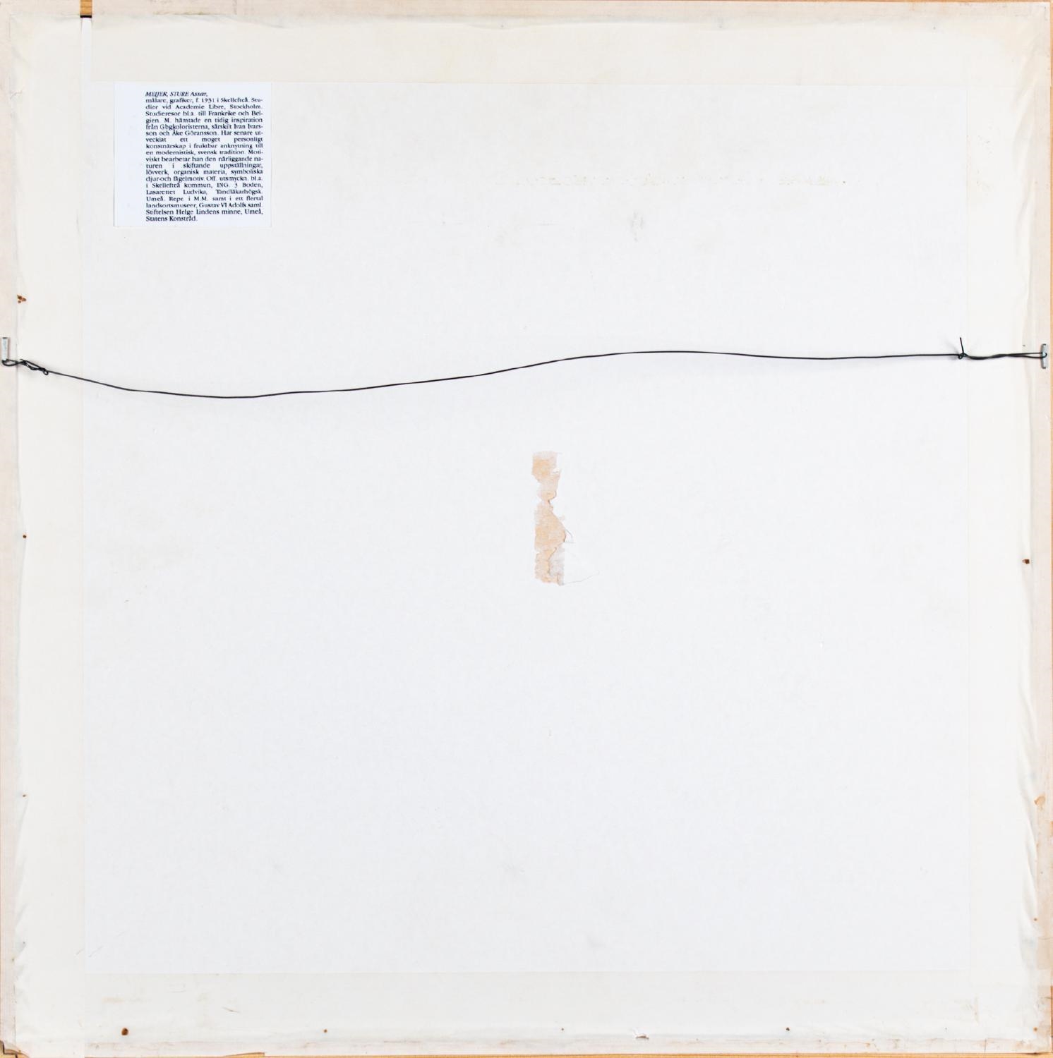 Artwork by Sture Meijer, Untitled, Made of Mixed technique on paper